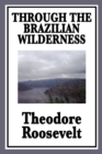Through the Brazilian Wilderness : Or My Voyage Along the River of Doubt - Book