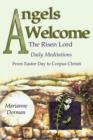 Angels Welcome : The Risen Lord - Book