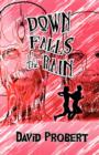 Down Falls the Rain - Book