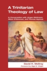 Trinitarian Theology of Law : In Conversation with Jurgen Moltmann, Oliver O'Donovan and Thomas Aquinas - Book