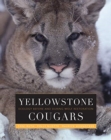 Yellowstone Cougars : Ecology before and during Wolf Restoration - Book