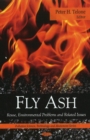 Fly Ash : Reuse, Environmental Problems & Related Issues - Book