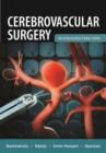 Cerebrovascular Surgery: An Interactive Video Atlas - Book