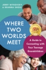 Where Two Worlds Meet : A Guide to Connecting with Your Teenage Grandchildren - Book