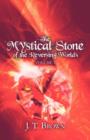 The Mystical Stone of the Reversing Worlds : Volume 1 - Book