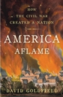 America Aflame : How the Civil War Created a Nation - eBook