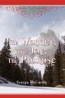 The Wonder, the Joy, the Promise Stories for Christmas - Book