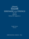 Serenade for Strings, Op.20 : Study score - Book