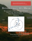 Bombs from On High - Book