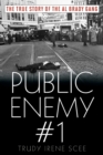 Public Enemy Number One : The True Story of the Brady Gang - Book