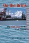 On the Brink : The Great Lakes in the 21st Century - eBook