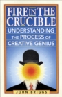 Fire in the Crucible : Understanding the Process of Creative Genius - eBook