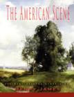 The American Scene - Book