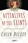 Afterlives of the Saints - Book