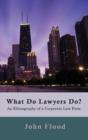 What Do Lawyers Do? : An Ethnography of a Corporate Law Firm - Book