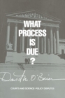 What Process is Due? : Courts and Science-Policy Disputes - eBook