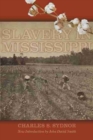 Slavery in Mississippi - Book