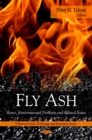Fly Ash : Reuse, Environmental Problems and Related Issues - eBook
