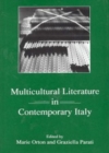 Multicultural Literature in Contemporary Italy - Book