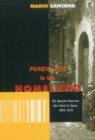 Foreigners in the Homeland : The Spanish American New Novel in Spain, 1962 - 1974 - Book