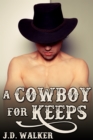 A Cowboy for Keeps - eBook