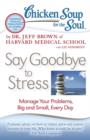 Chicken Soup for the Soul: Say Goodbye to Stress : Manage Your Problems, Big and Small, Every Day - eBook