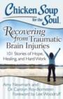 Chicken Soup for the Soul: Recovering from Traumatic Brain Injuries : 101 Stories of Hope, Healing, and Hard Work - Book