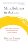 Mindfulness in Action : Making Friends with Yourself through Meditation and Everyday Awareness - Book
