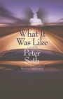 What It Was Like : A Novel of Love and Consequence - Book