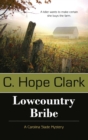 Lowcountry Bribe - Book