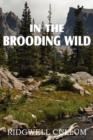 In the Brooding Wild - Book