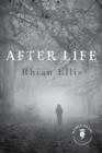 After Life : A Novel - Book