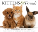 Kittens & Friends Box Calendar 2025 - Book