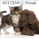 Kittens & Friends Square Wall Calendar 2025 - Book