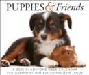 Puppies & Friends Box Calendar 2025 - Book