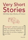 Very Short Stories : 300 Bite-Size Works of Fiction - Book