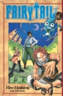 Fairy Tail 4 - Book