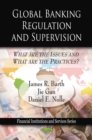 Global Banking Regulation and Supervision : What are the Issues and What Are the Practices? - eBook