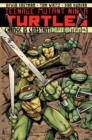 Teenage Mutant Ninja Turtles Volume 1: Change is Constant Deluxe Edition - Book