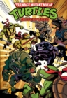Teenage Mutant Ninja Turtles Adventures Volume 4 - Book