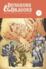 Dungeons & Dragons: Forgotten Realms Classics Omnibus Volume 1 - Book