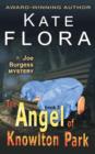 The Angel of Knowlton Park (a Joe Burgess Mystery, Book 2) - Book