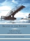 Island in the Storm - eBook