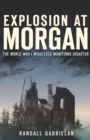 Explosion at Morgan : The World War I Middlesex Munitions Disaster - eBook
