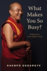 What Makes You So Busy? : Finding Peace in the Modern World - eBook
