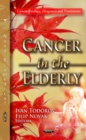 Cancer in the Elderly - eBook