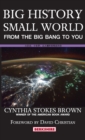 Big History, Small World : From the Big Bang to You - Book
