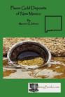 Placer Gold Deposits of New Mexico - Book