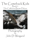 The Comeback Kids, Book 3, the California Brown Pelican - Book