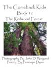 The Comeback Kids, Book 12, the Redwood Forest - Book